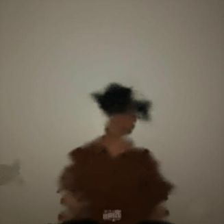 sewerperson - discourse with the lion fox hybrid
