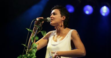 Инна Желанная - Стрела
