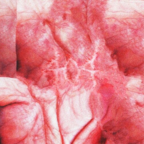 rouri404 - agony
