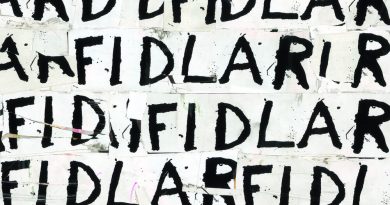 FIDLAR - awkward