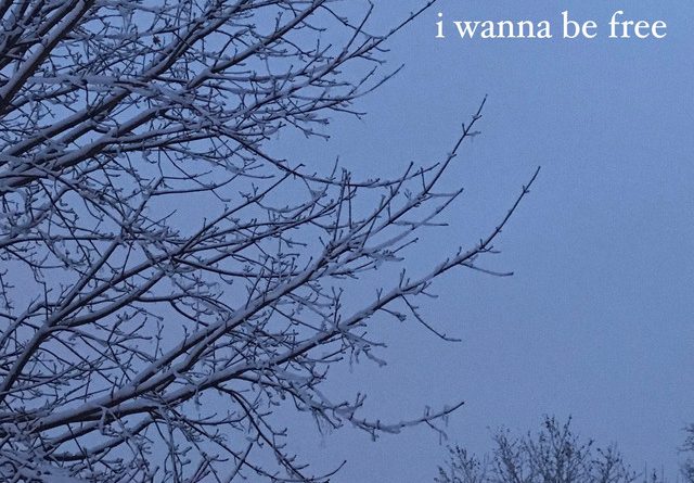 sol williams - i wanna be free