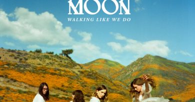 The Big Moon - Waves