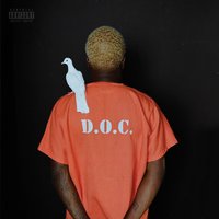 IDK - Black Sheep, White Dove