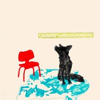 Dogleg - Fox