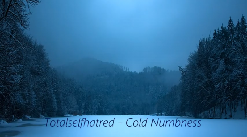 Totalselfhatred - Cold Numbness