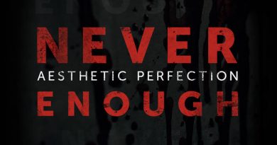 Aesthetic Perfection - Never Enough