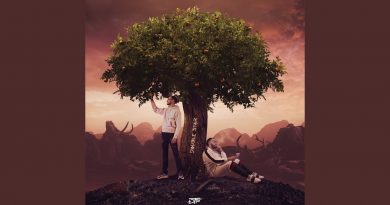 Dtf - Je vois