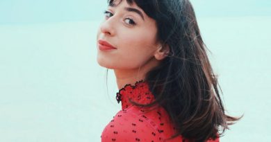 Foxes — Sky Love