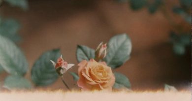 Far Caspian - A Dream Of You