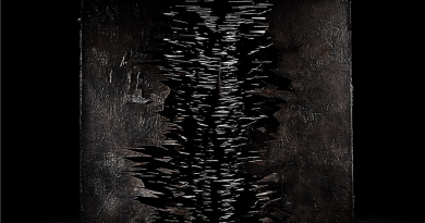 Dir En Grey - C
