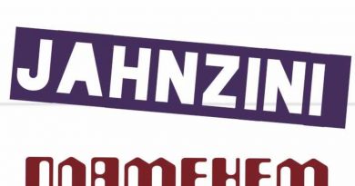 Jahnzini - Пламенем