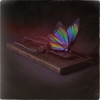 Picturesque - ATTN: