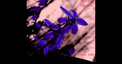 Дмитрий Гревцев - Гитара, пой