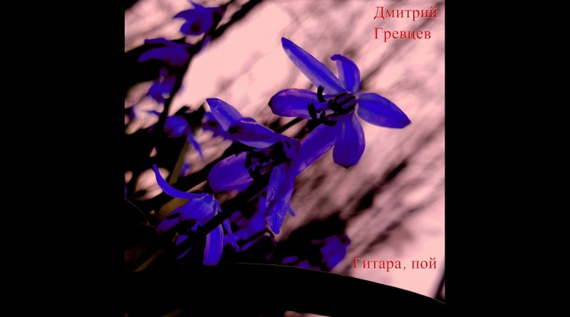 Дмитрий Гревцев - Гитара, пой