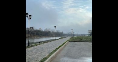 Дмитрий Гревцев - И снова на сердце печаль