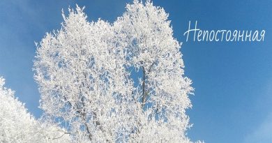 Дмитрий Гревцев - Непостоянная