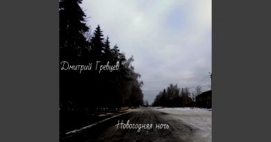 Дмитрий Гревцев - Новогодняя ночь