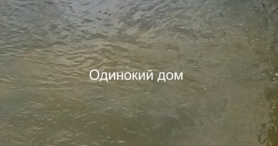 Дмитрий Гревцев - Одинокий дом