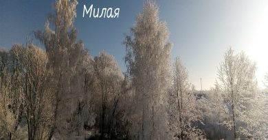 Дмитрий Гревцев - Ты моя милая
