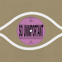 Ethan Gruska, Bon Iver - So Unimportant
