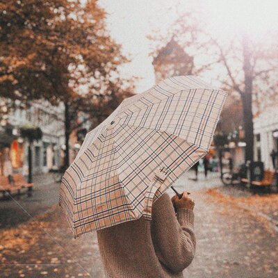 Sinxi - autumn
