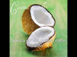Coconut Records - Saint Jerome
