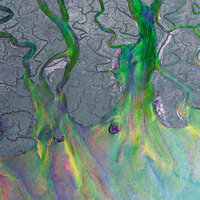 alt-J - (The Ripe & Ruin)