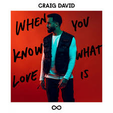 Craig David - Change My Love