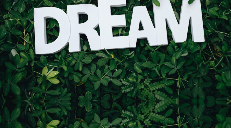 Sandr Voxon, Erbil Dzemoski - Dream