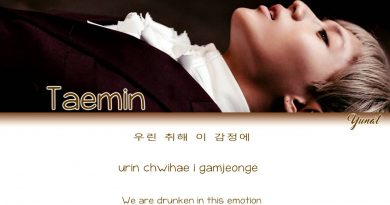 TAEMIN - Sexuality