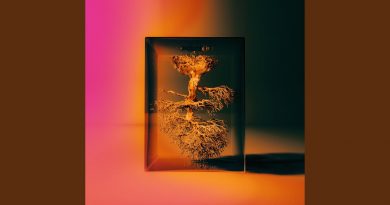 Bewhy - ALGORITHM