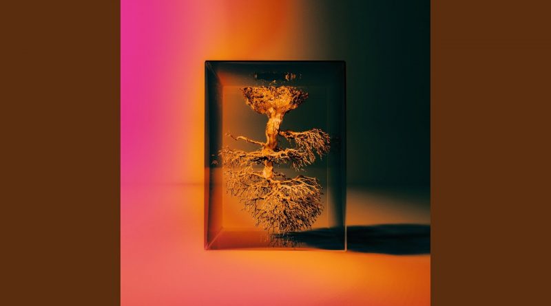 Bewhy - ALGORITHM