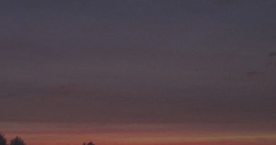 фото и напитки — кофе и напитки, фото и цветы