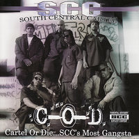 South Central Cartel - Gang Stories