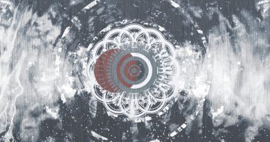Betraying the Martyrs - Embers