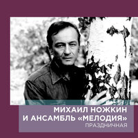 Михаил Ножкин, Инструментальный ансамбль «Мелодия» - Сталь