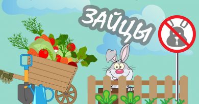 Детский ансамбль Гномы - Зайцы