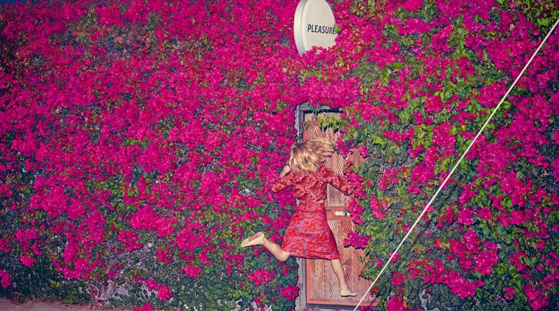 Feist - Get Not High, Get Not Low