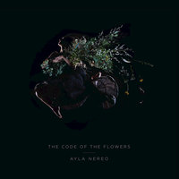 Ayla Nereo - Whispers