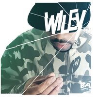 Wiley - Wot Do U Call It?