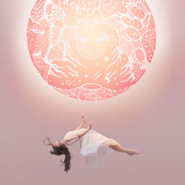 Purity Ring - Shuck