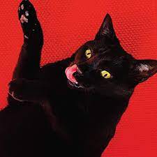 Ryan Adams - Do Not Disturb