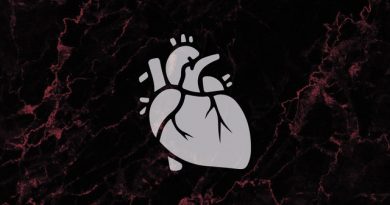 Defences - The Heart