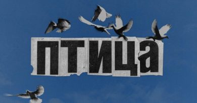 Лилу - птица