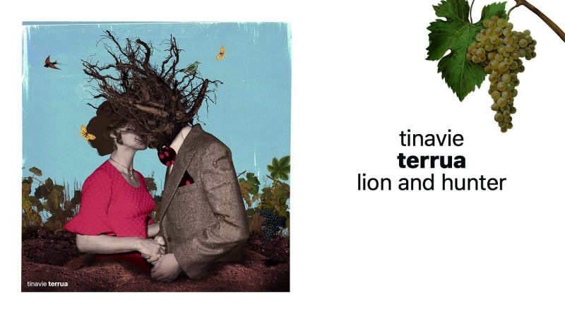 Tinavie - Lion and Hunter