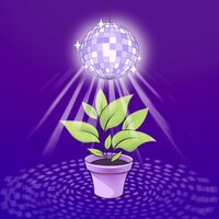 pinkglasses - Поп-панк и кислород