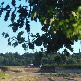 sleepwater, heylog - fields