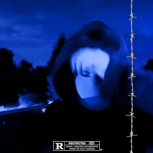 sendflowrs - polar