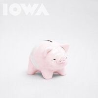 IOWA - Свинка-копилка