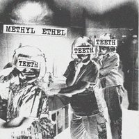 Methyl Ethel - Lagotto Romagnolo